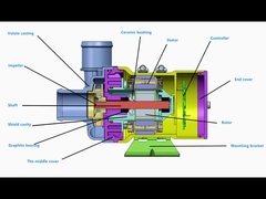 Desmontaje de la bomba eléctrica de agua.